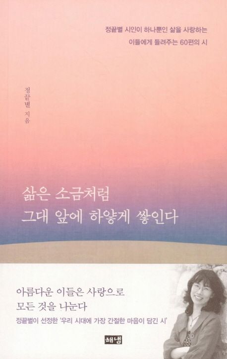 삶은 소금처럼 그대 앞에 하얗게 쌓인다 - 정끝별 지음